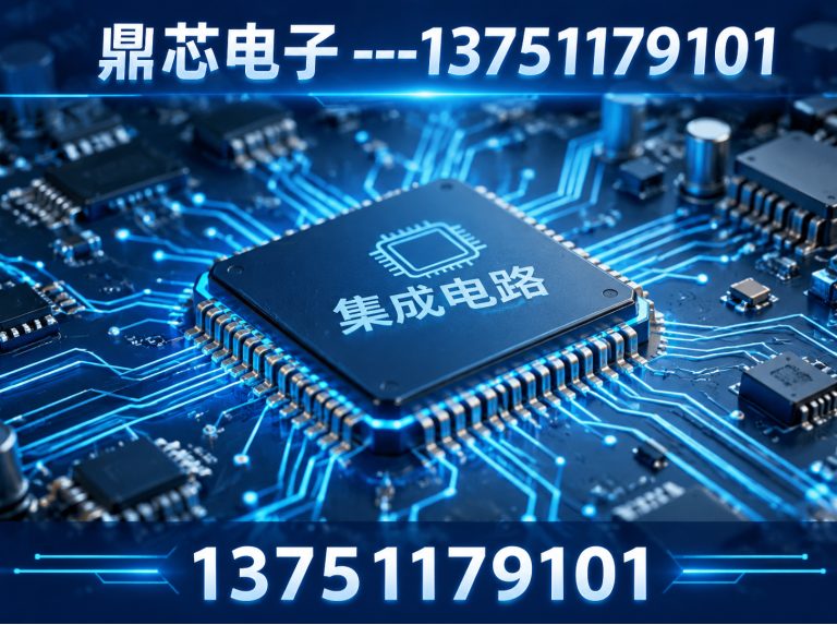 海南鼎芯电子展示图